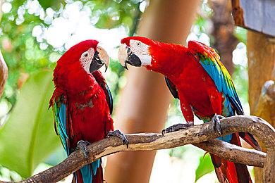 《HumanitZ》9月19日steam抢先体验 俯视角末世生存合作